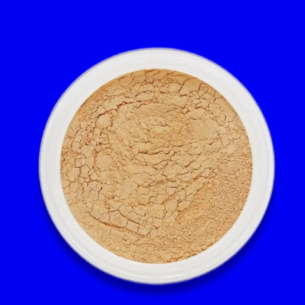RACHEL COUTURE Translucent Powder in Medium